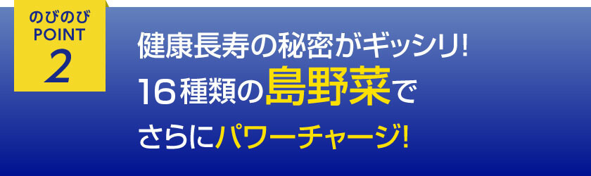 のびのびポイント2 健康長寿の秘密がギッシリ　28種類の島野菜でさらにパワーチャージ