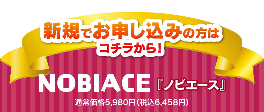 ノビエース5980円（税抜）　新規でお申し込みの方はコチラから！