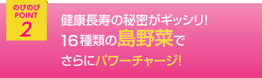 のびのびポイント2 健康長寿の秘密がギッシリ　28種類の島野菜でさらにパワーチャージ