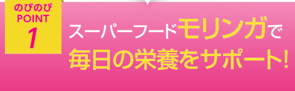 のびのびポイント1 スーパーフードモリンガで毎日の栄養をサポート
